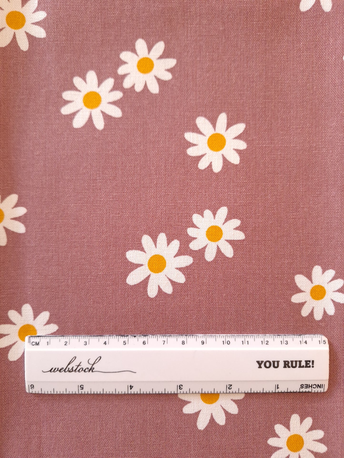 Daisy Floral